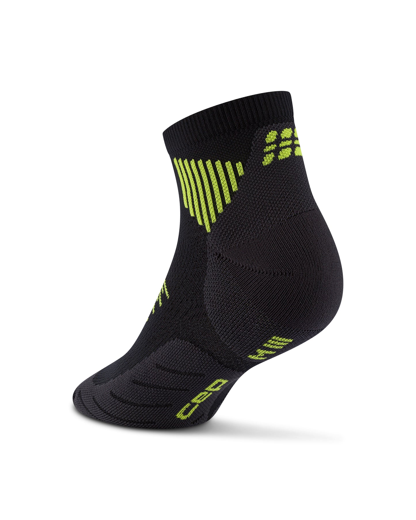 The Run Lowcut 5.0 Unisex