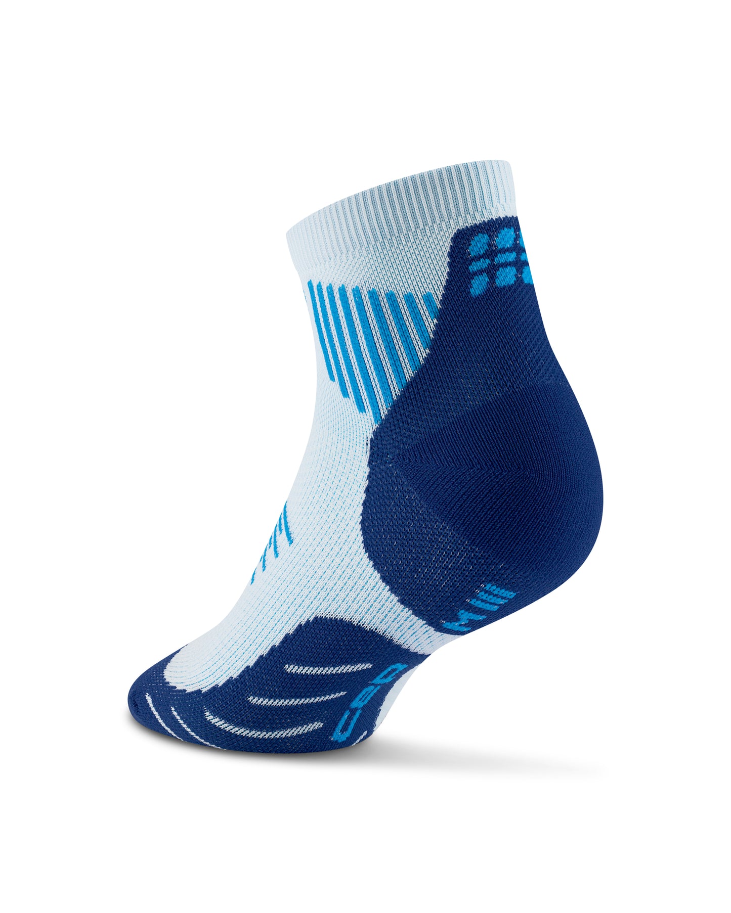 The Run Lowcut 5.0 Unisex
