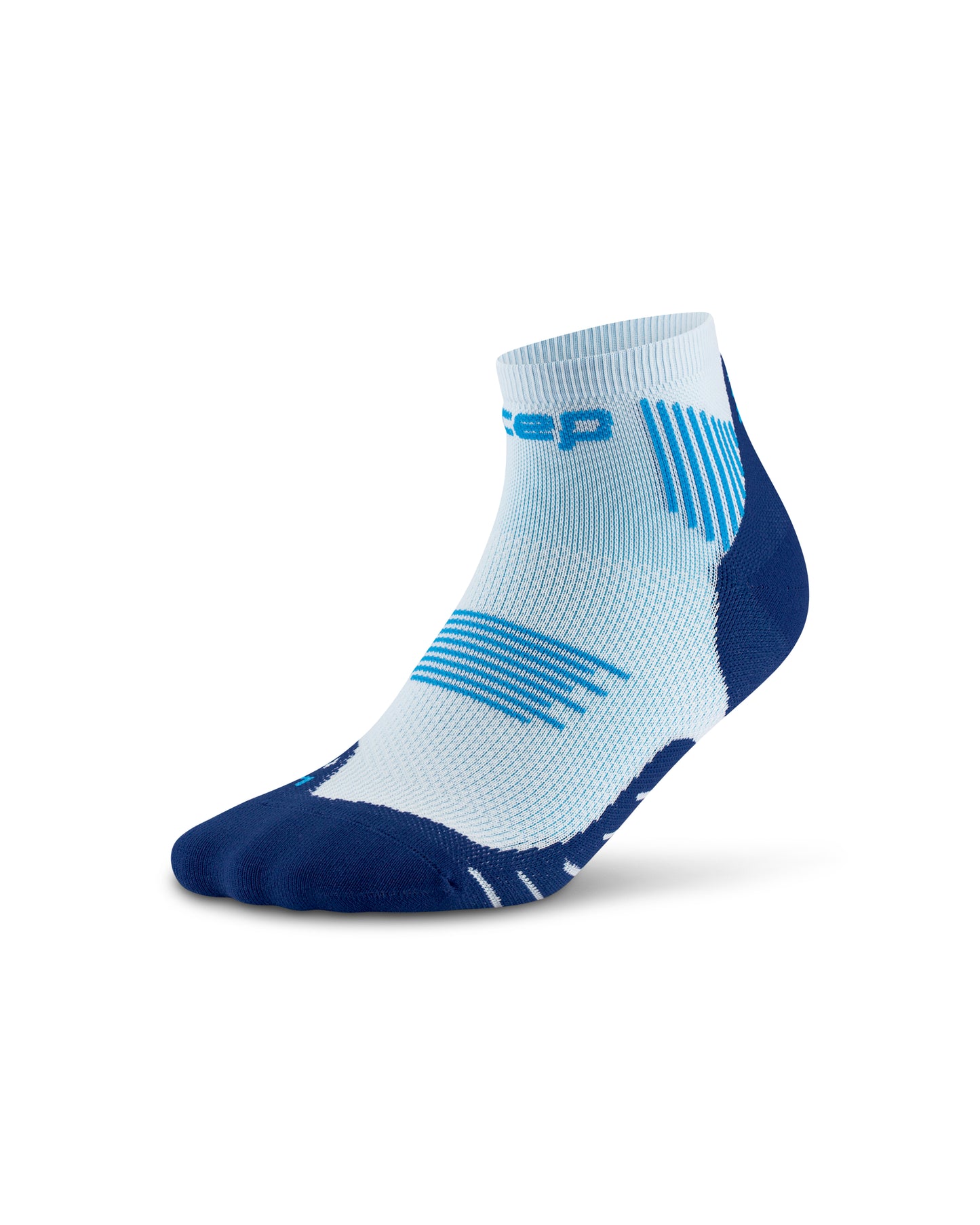 The Run Lowcut 5.0 Unisex