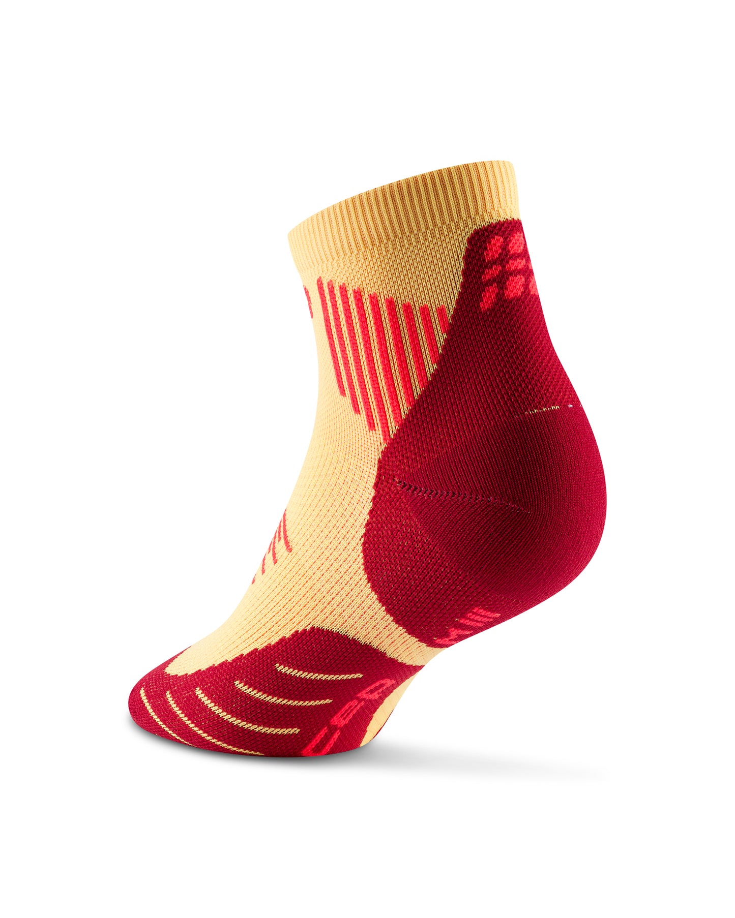 The Run Lowcut 5.0 Unisex