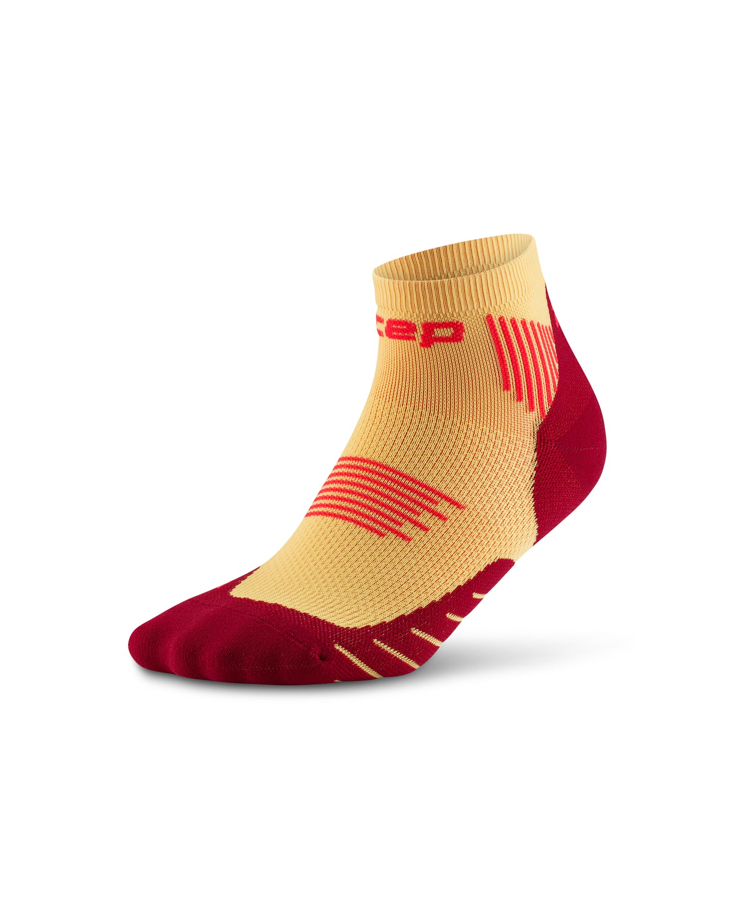 The Run Lowcut 5.0 Unisex